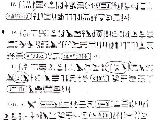 لهذه الأسباب نحن نتحدث اللغة القبطية