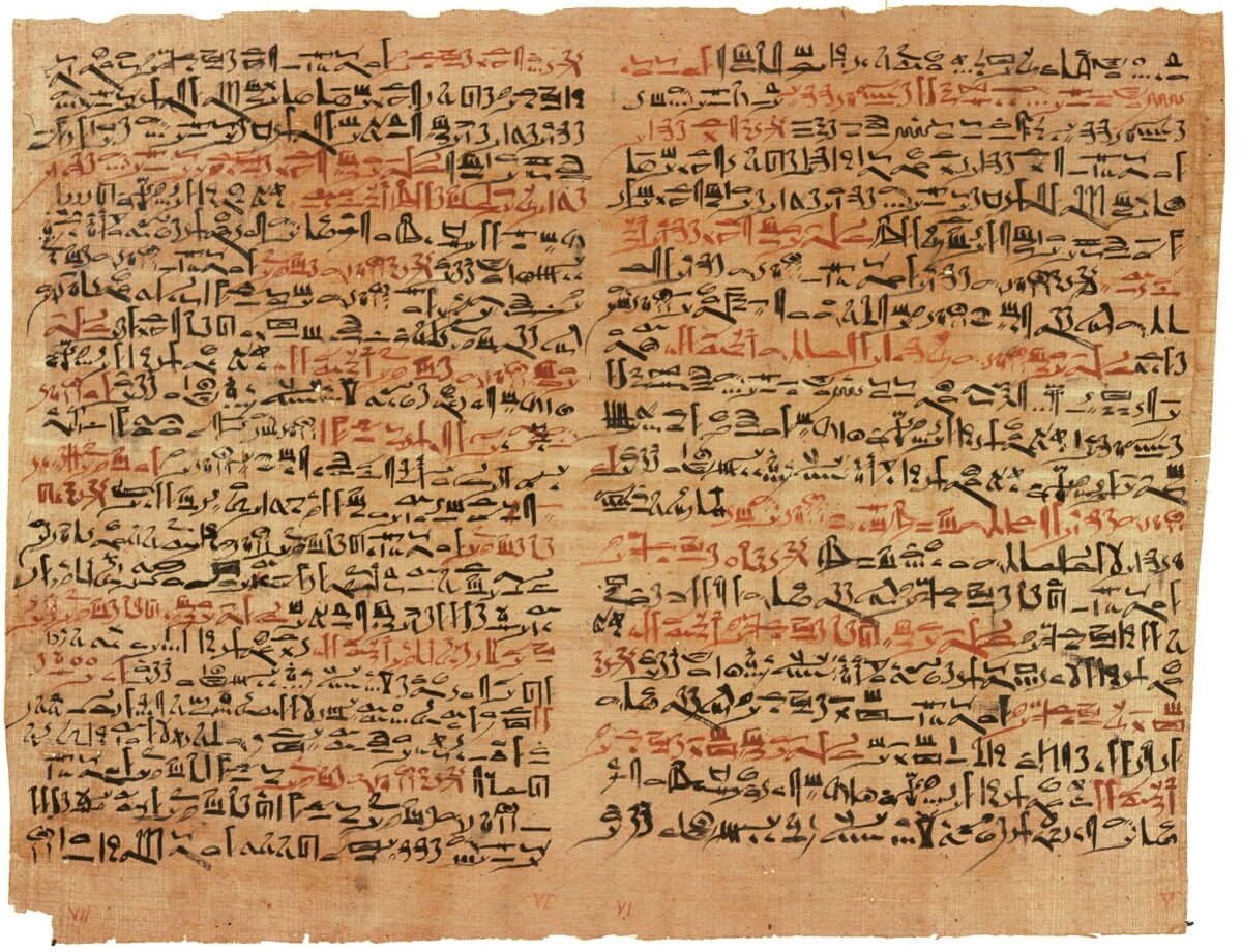 كيف استخدم المصري القديم القمح والشعير في معرفة نوع الجنين؟