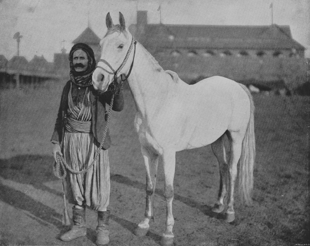 1468318770 651 434791 horse