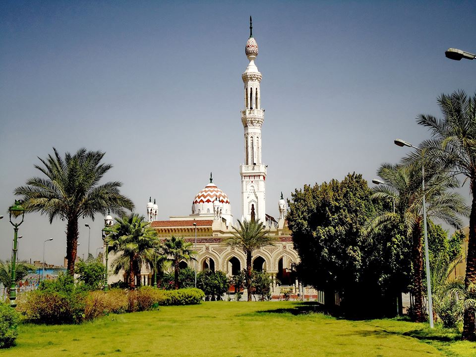 تسجيل 3 شواهد أثرية بمسجد سيدي عبدالرحيم 1496321508 582 142079 3