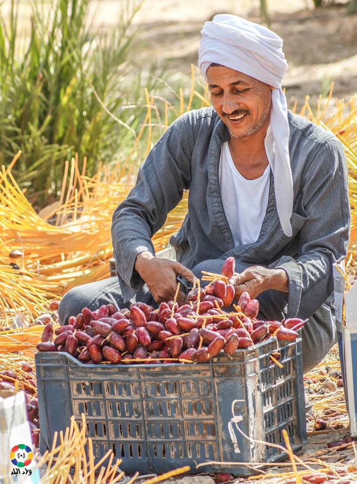 الفتة والرقاق و"المروزية".. أطباق العيد في مصر والمغرب