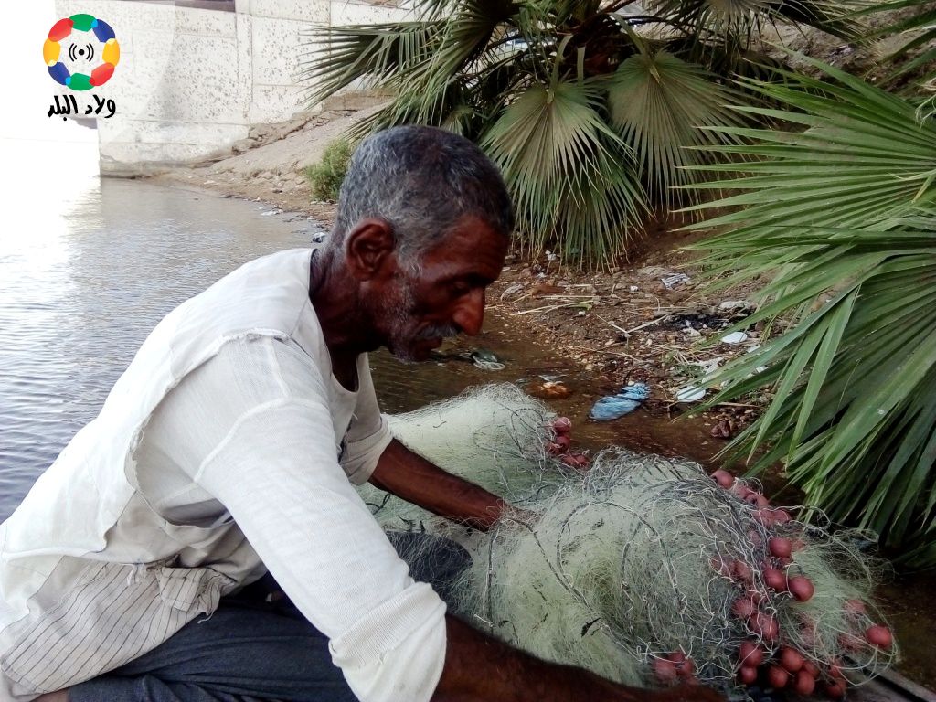 صوت| السفر على أنغام الربابة والسير الشعبية في قطار الصعيد 1539525441 692 191698 21