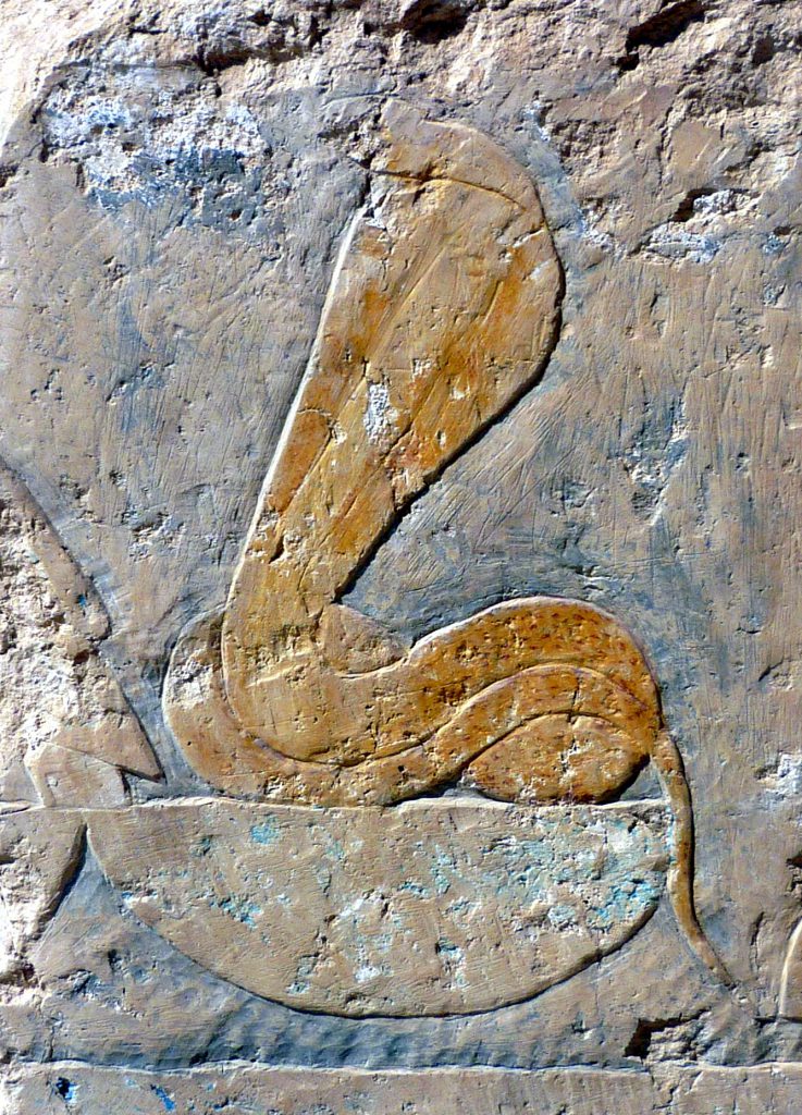 1544893730 880 1166240 hatshepsut temple8