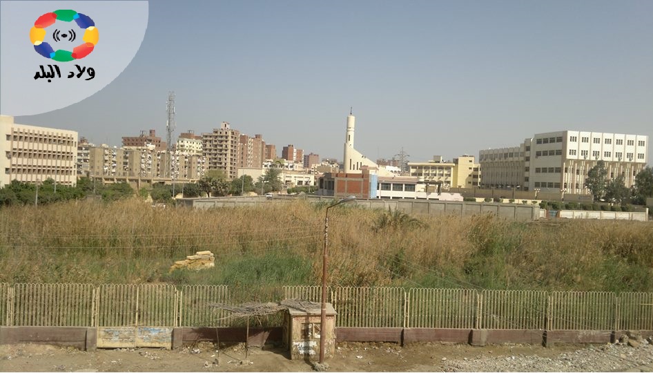 صور| “أرسينوي” مدينة تاريخية تحولت لبقايا جدران وأحجار بالفيوم 1556494451 355 164638