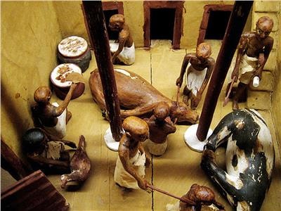 بكلاويز وكابيس.. أول خطوة عالمية بجهود مصرية لتوثيق المطبخ المصري 1592478486 576 35384 2