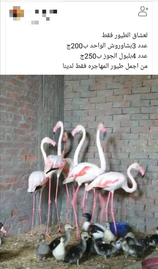 منشور على صفحة بفيسبوك