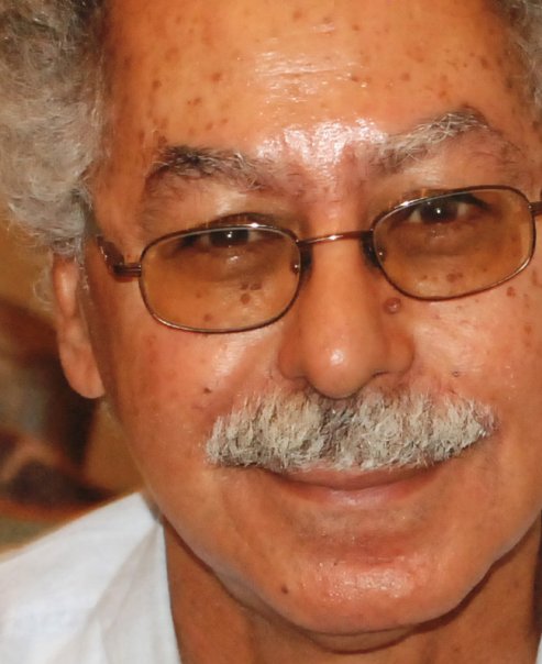 فكري حسن