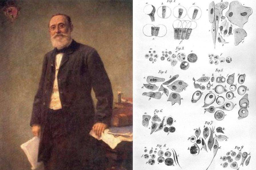 «طب وثقافة وناس»: أسماء وحيوات كثيرة لرجل واحد