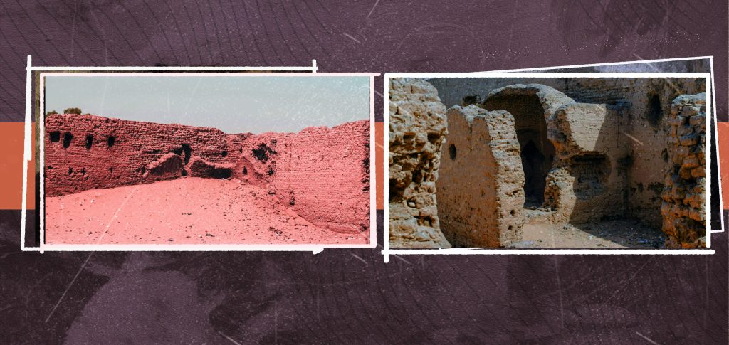 د.محمد أبوالفضل بدران يكتب: «منقريوس» الوزير القبطي في دولة شيخ العرب همام رئيسي شيخ العرب همام scaled