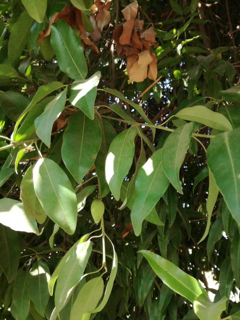 IMG 20230201 WA0010