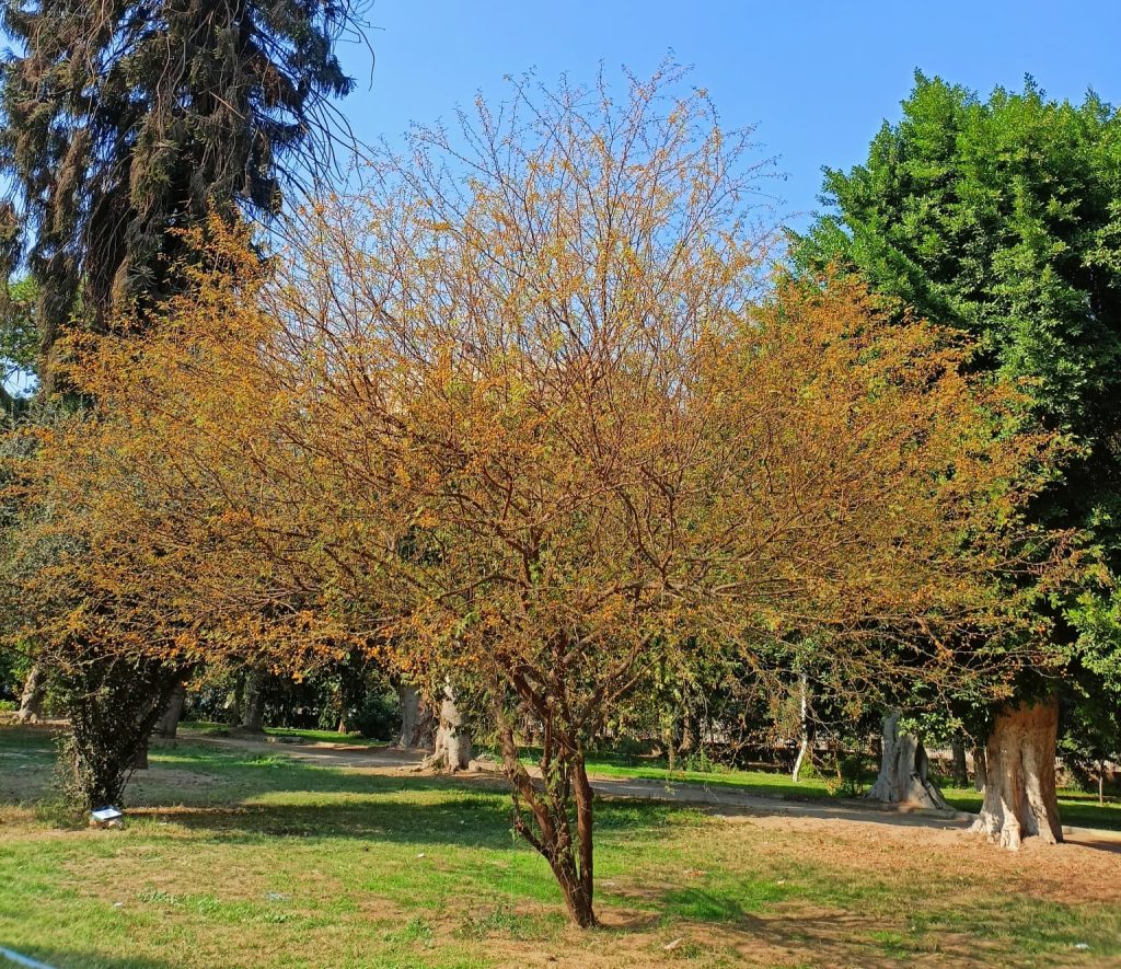 IMG 20230215 WA0006