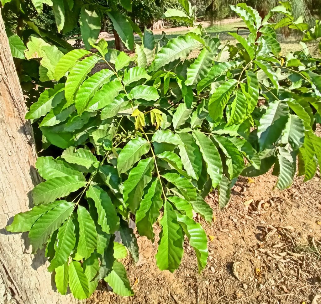 IMG 20230125 225105