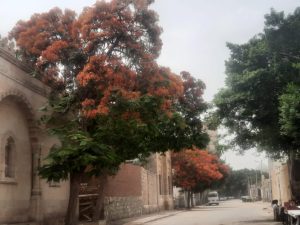 IMG 20230721 WA0011