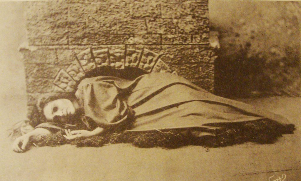 pic 15