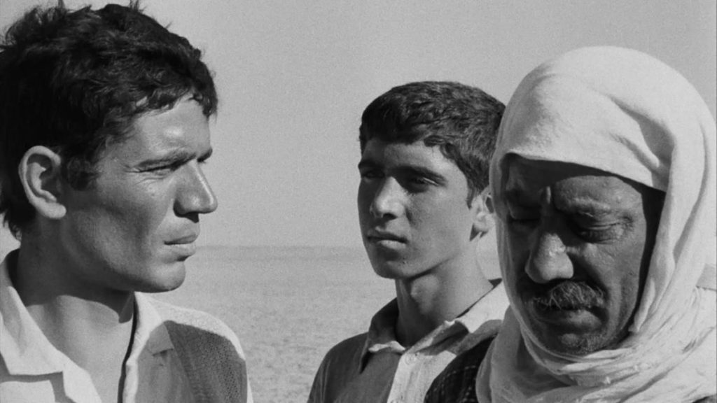 القضية الفلسطينية 1