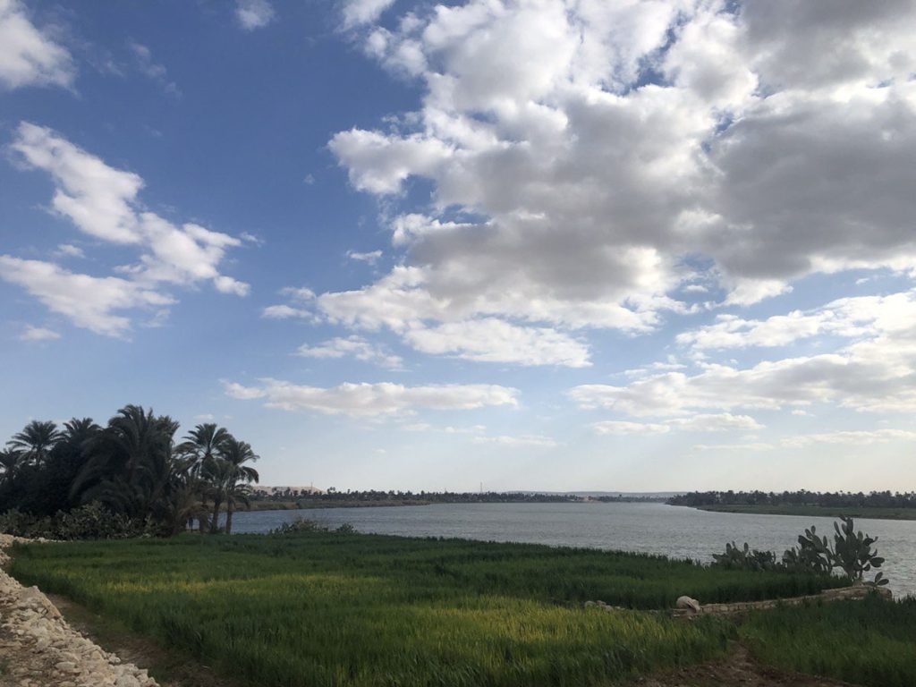 «المنيا».. الطريق نحو تل العمارنة piv 6