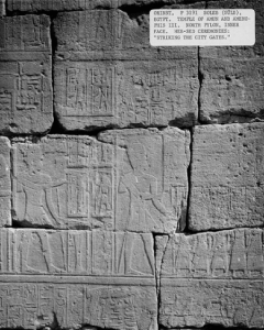 معبد سوليب صور بتاريخ عام 1913 من أرشيف جامعة شيكاغو 3 1