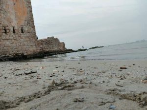 هدم الحوض الجاف بالدخيلة في الإسكندرية 2 1 1