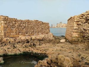 هدم الحوض الجاف بالدخيلة في الإسكندرية 5 1