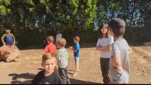 IMG 20250217 WA0022