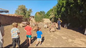 IMG 20250217 WA0024