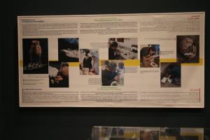IMG 99551