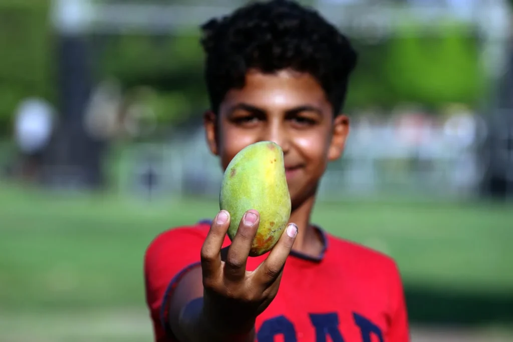 mango 1 5 1536x1024 1