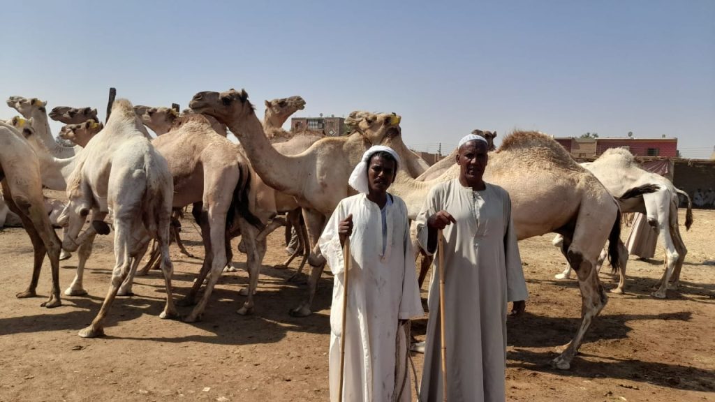 سوق الجمال