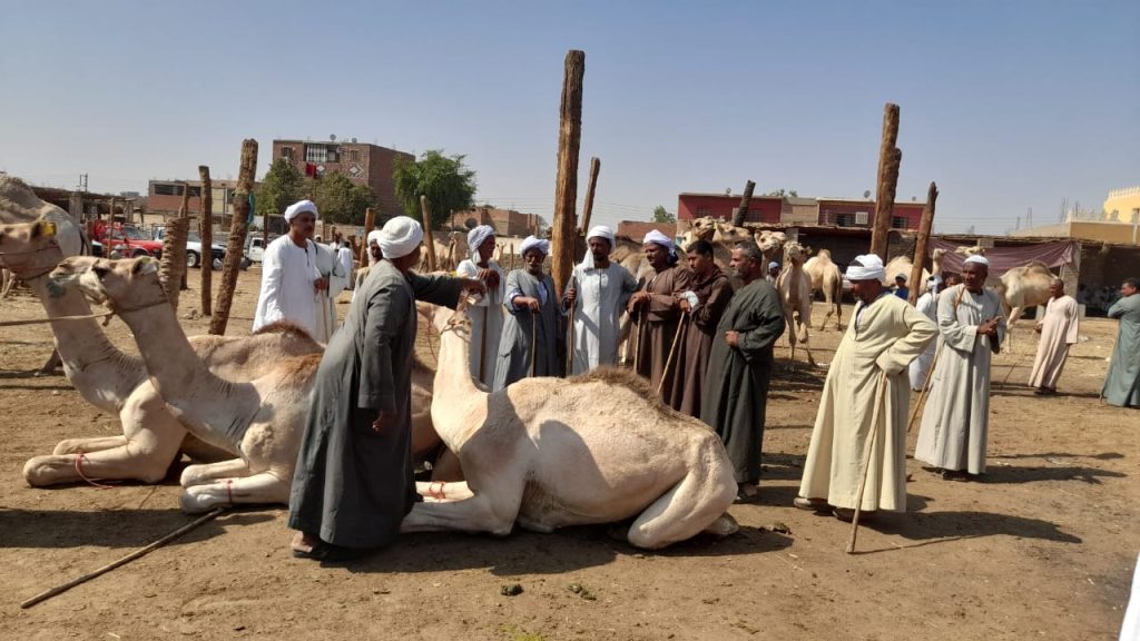 سوق الجمال 4 1