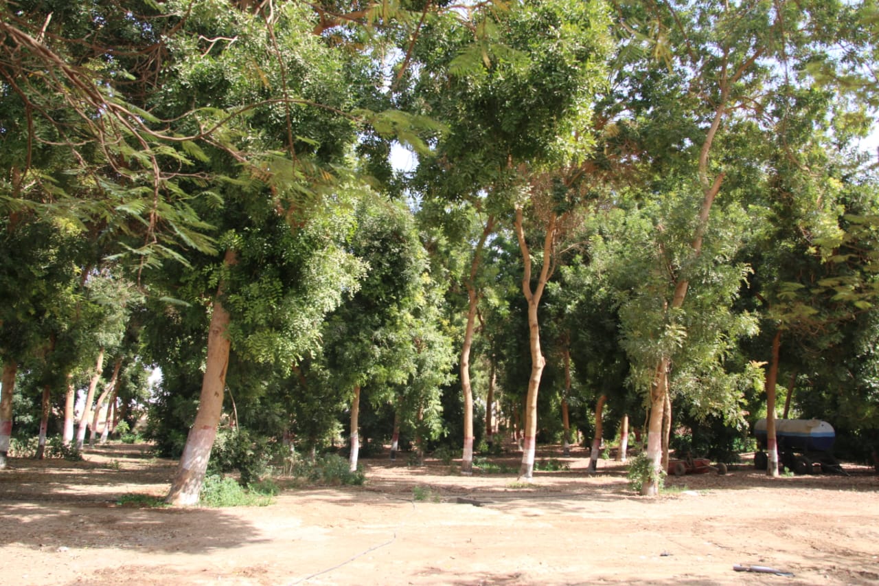 IMG 20260215 WA0071