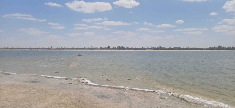 بحيرة نبع الحمرا بوادي النطرون.. تصوير: محمود دوير