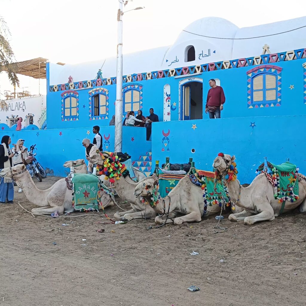 nubia1