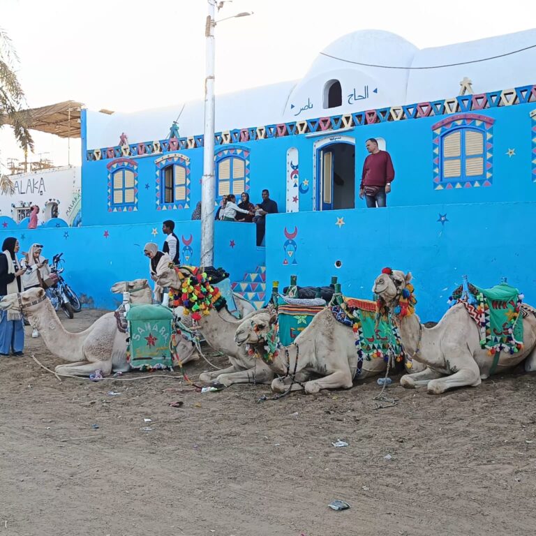 Colorful Houses, Camel Rides, and Crocodiles: Inside Egypt’s Most Awarded Nubian Village nubia1